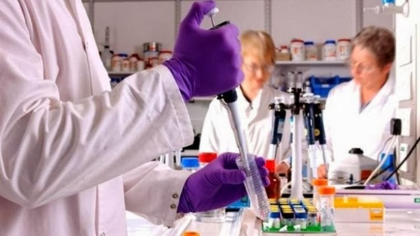 Imagen de archivo de una investigaci&oacute;n para un tratamiento contra el c&aacute;ncer