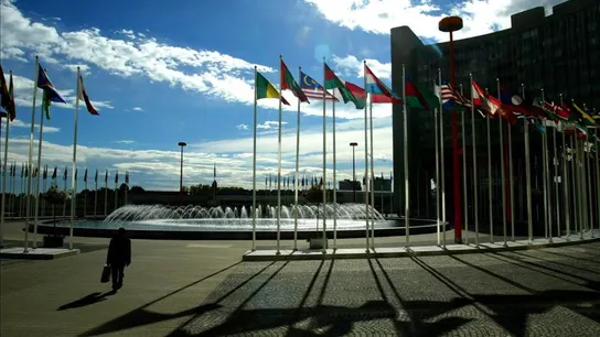 El Consejo de Seguridad de la ONU condena el terrorismo de Boko Haram El Consejo de Seguridad de la ONU condena el terrorismo de Boko Haram