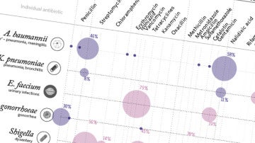Gráfico de resistencia antibiótica