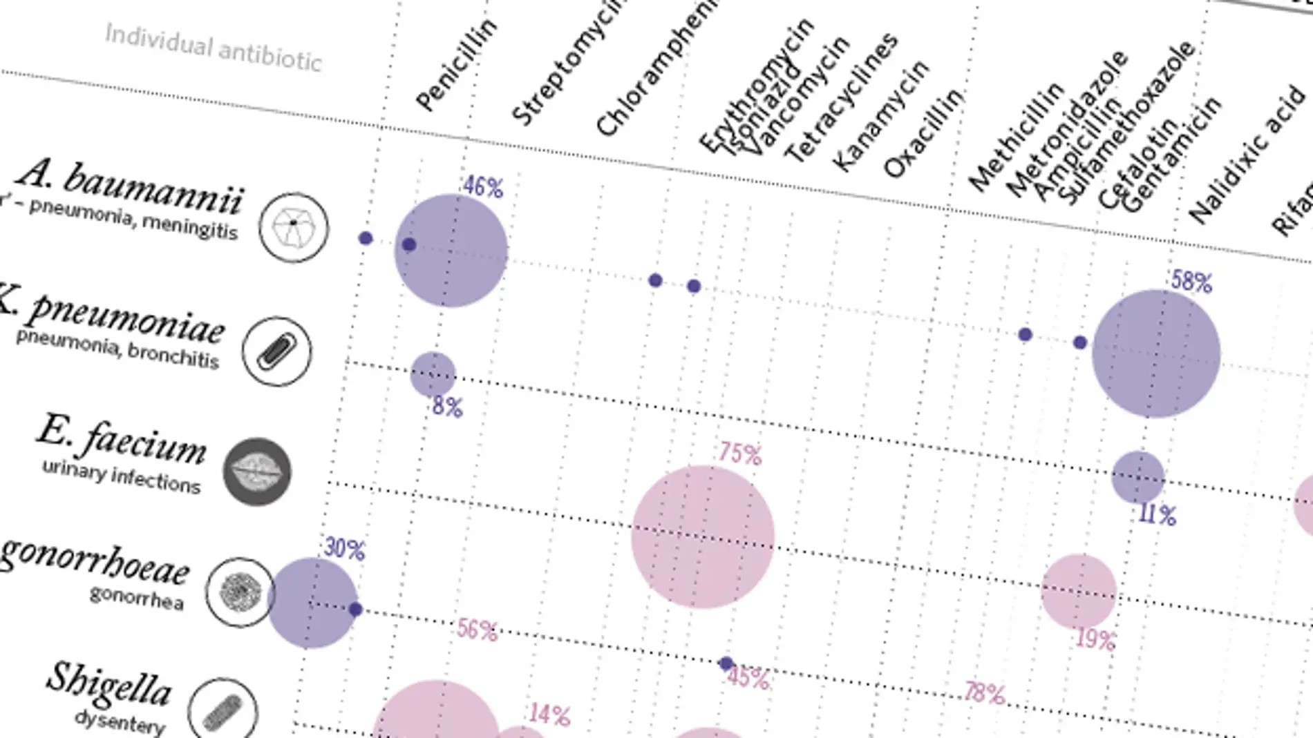 Gráfico de resistencia antibiótica