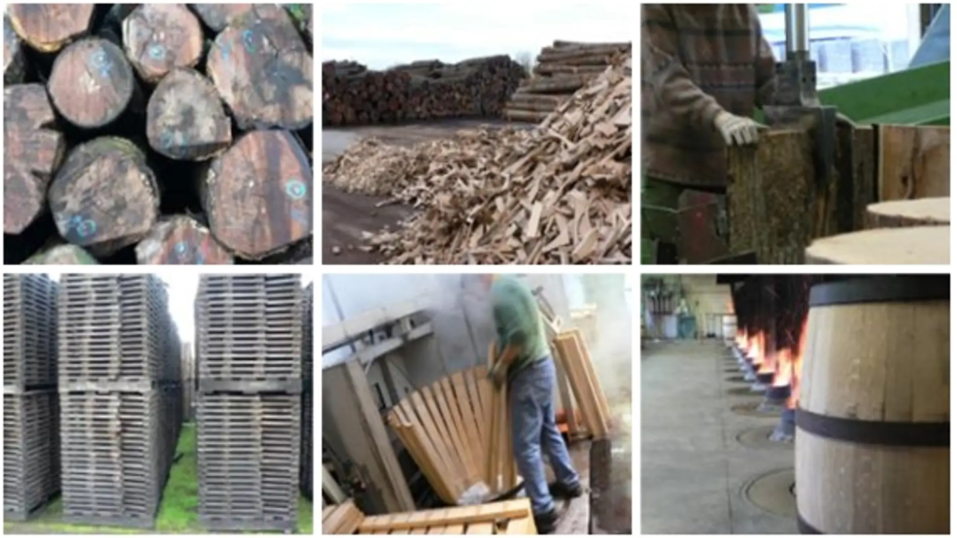 Distintas fases de elaborado de toneles