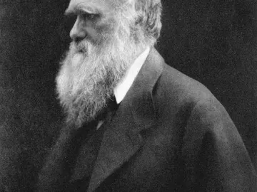 Charles Darwin Charles Darwin