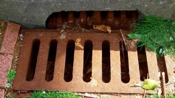 Hay un tesoro oculto en las aguas residuales