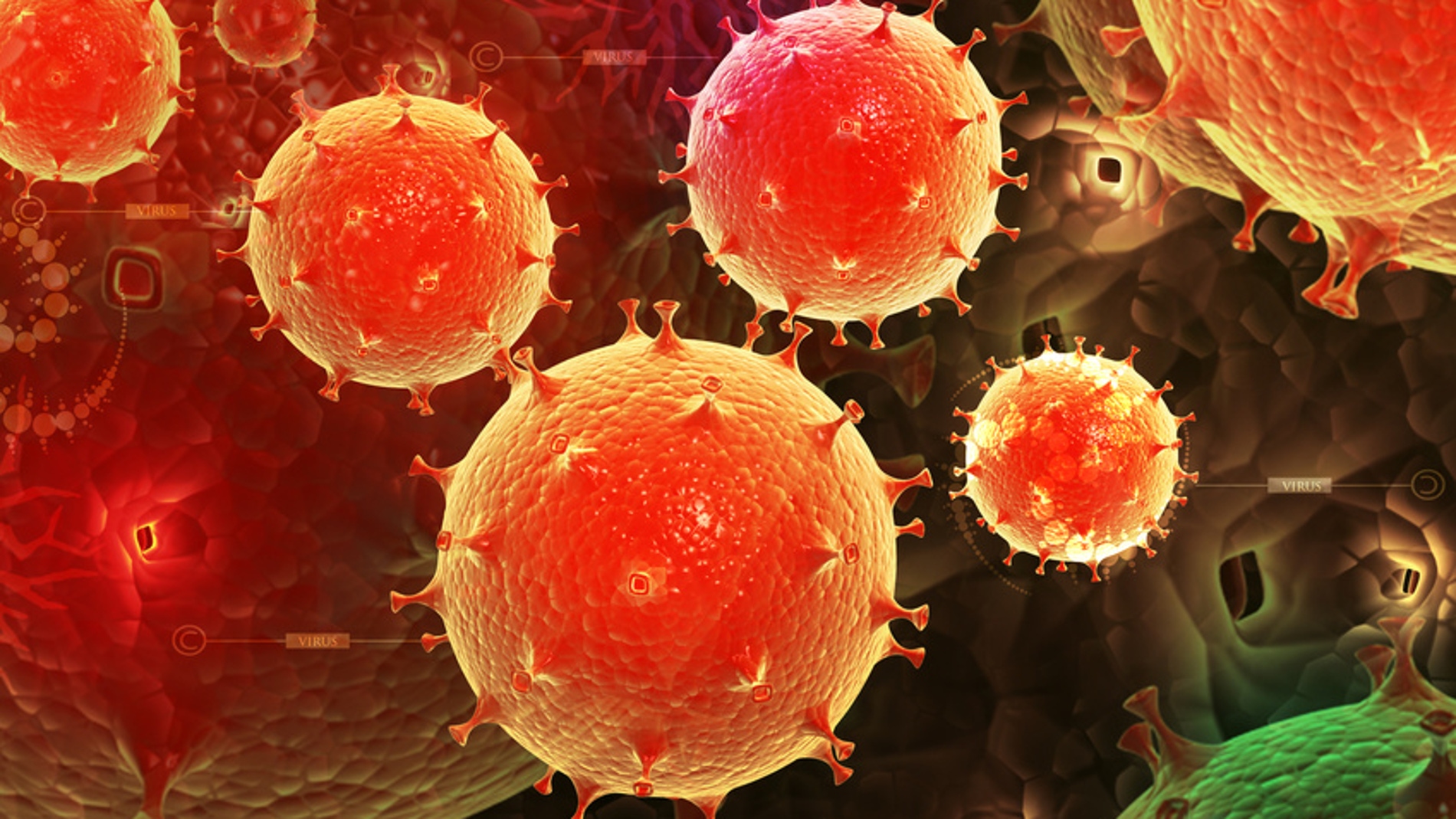 Los virus son uno de los principales age