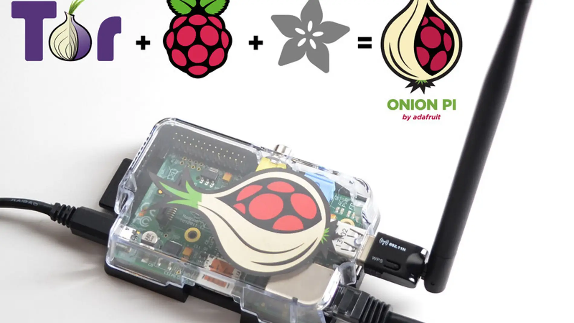 Raspberry Pi Onion