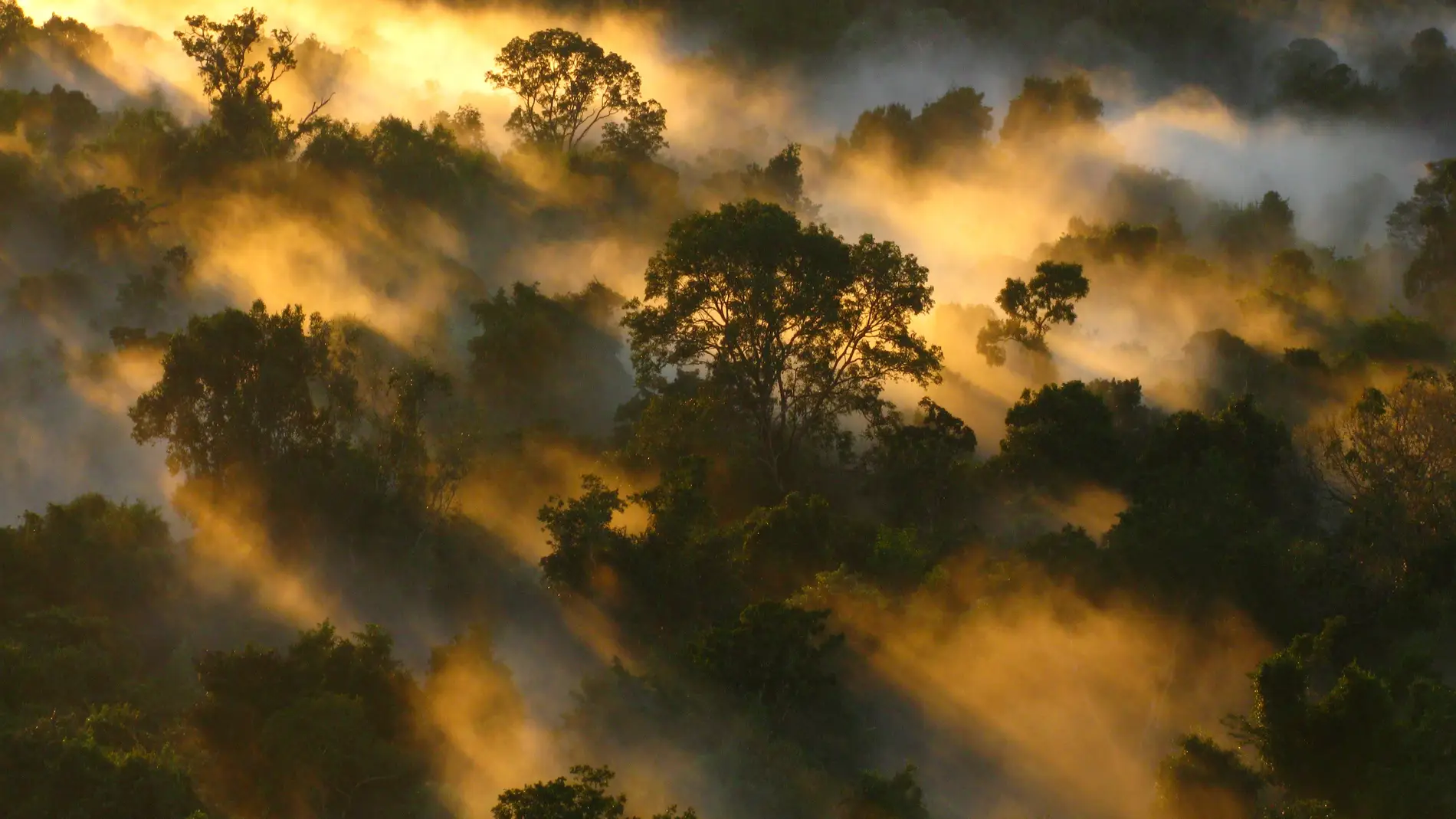 Desde los años 90, la cantidad de CO2 qu