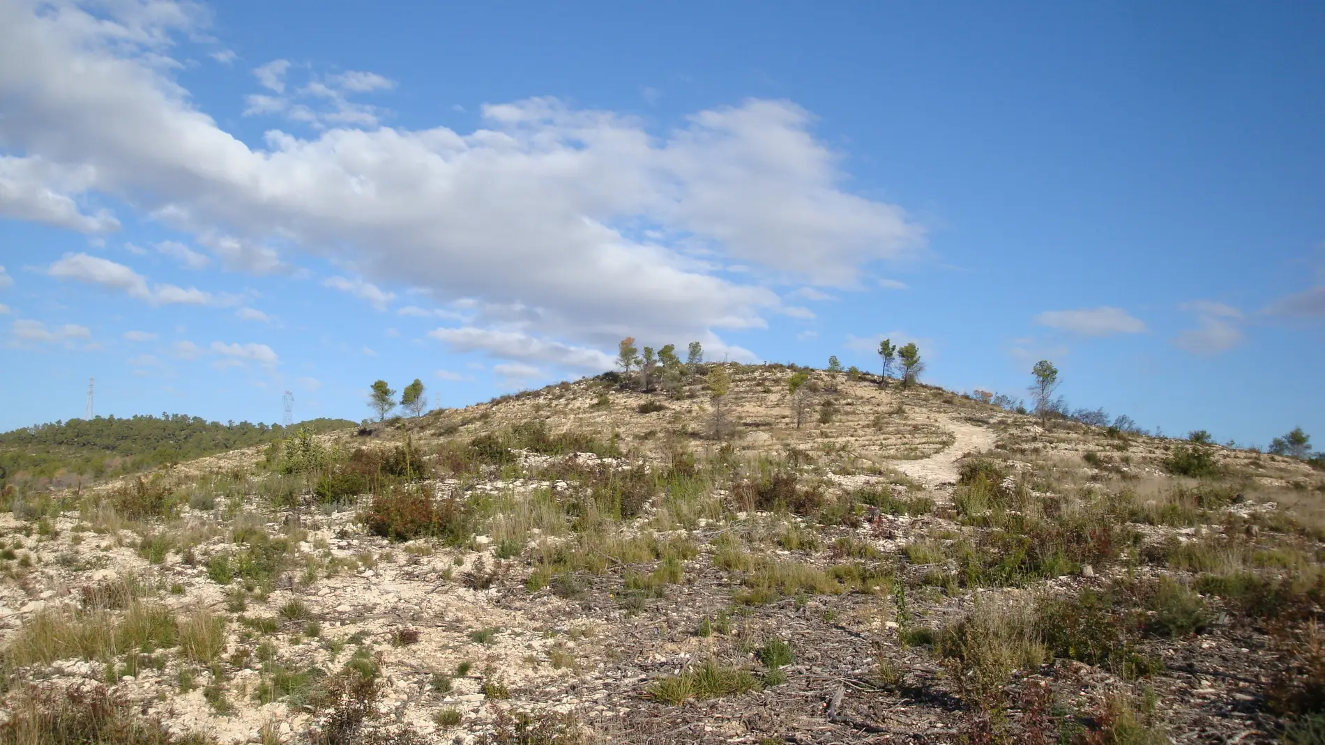 Espacio natural perturbado por un incend