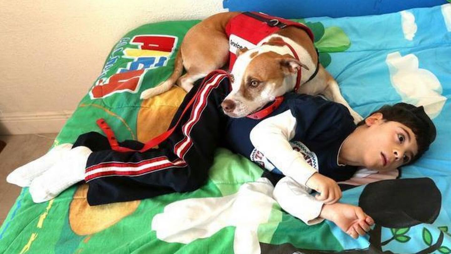 Anthony, tumbado en la cama junto a su perro Stevie