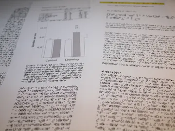 Se acabaron los papers fraudulentos Se acabaron los papers fraudulentos