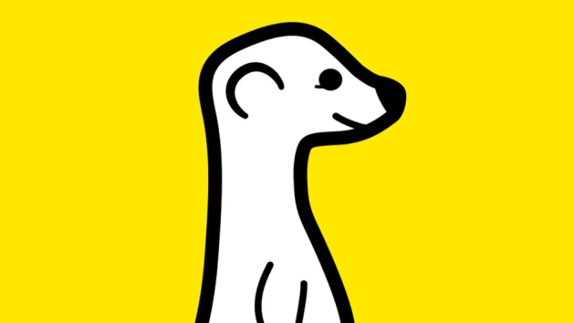 Suricato de Meerkat