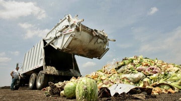 Comida en la basura