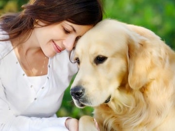 Perro y su dueño Perro y su dueño