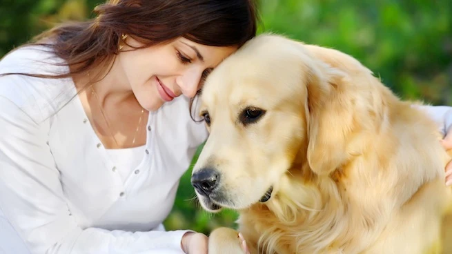 Perro y su dueño Perro y su dueño