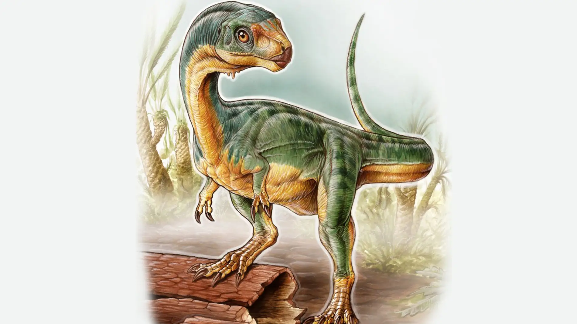 Nuevo terópodo, mitad puma, mitad T-Rex