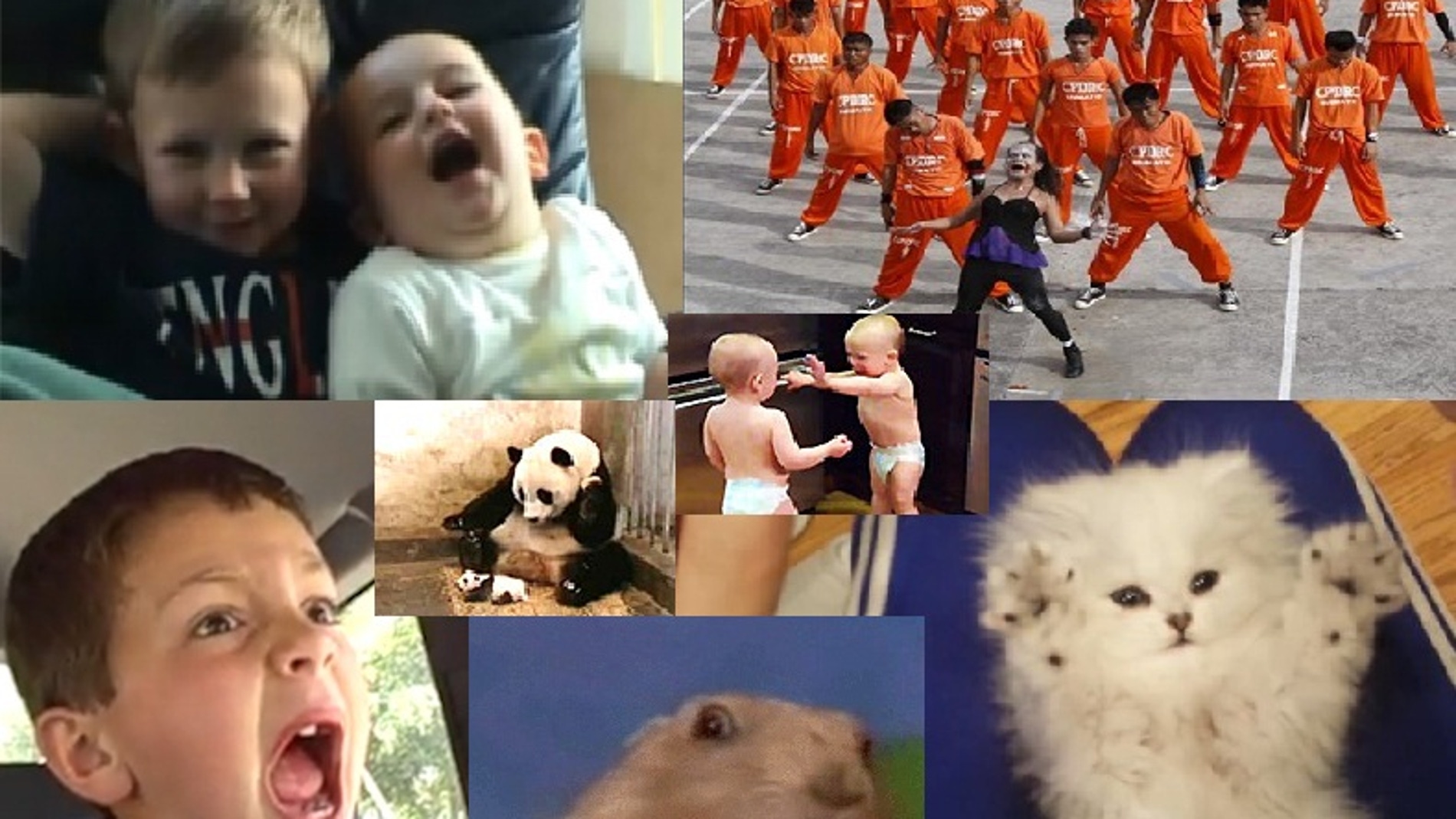 Diez años de Youtube