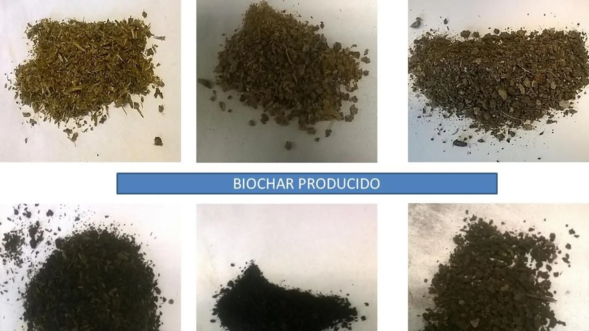 Fuente: grupo investigación “Valorizació