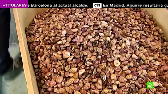 Las rías gallegas están cerradas totalmente al mejillón por culpa de la marea roja Las rías gallegas están cerradas totalmente al mejillón por culpa de la marea roja