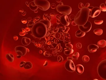 La ciencia está más cerca de lograr una sangre universal La ciencia está más cerca de lograr una sangre universal