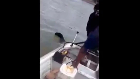 Brutales imágenes de la muerte de una pantera a golpes Brutales imágenes de la muerte de una pantera a golpes