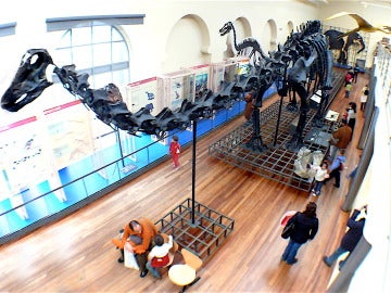 Museo Nacional de Ciencias Naturales de Madrid