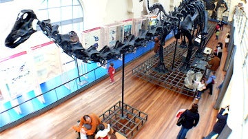 Museo Nacional de Ciencias Naturales de Madrid