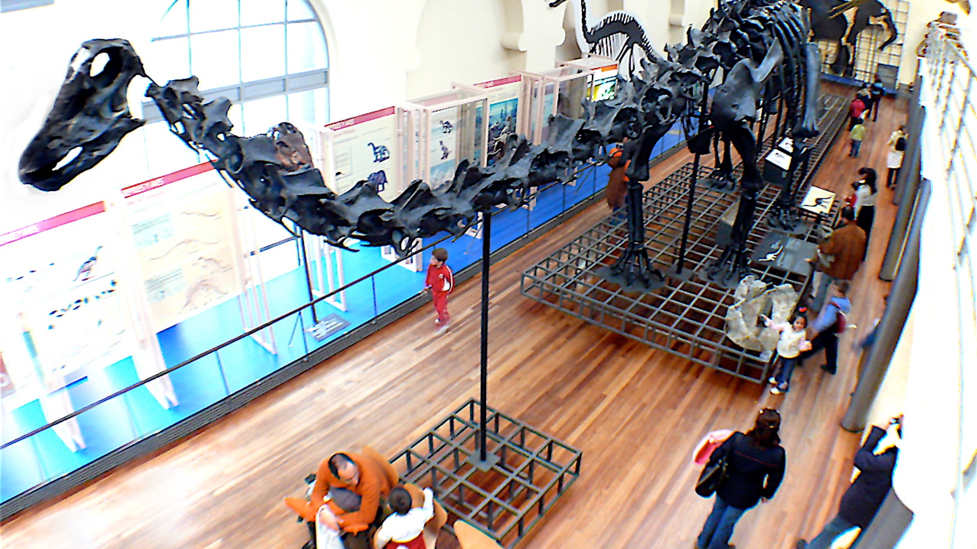 Museo Nacional de Ciencias Naturales de Madrid