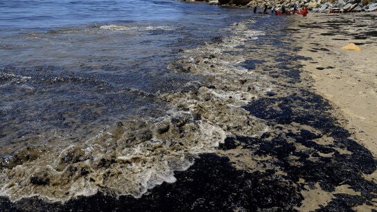 Vertido de petr&oacute;leo cerca de Santa B&aacute;rbara, California