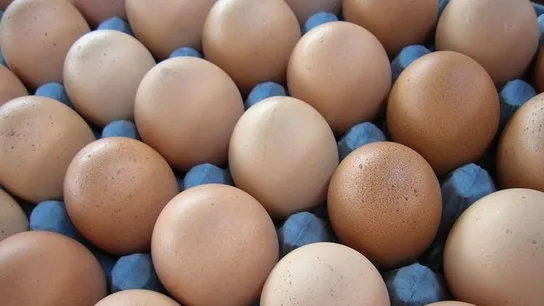 Varias docenas de huevos Varias docenas de huevos