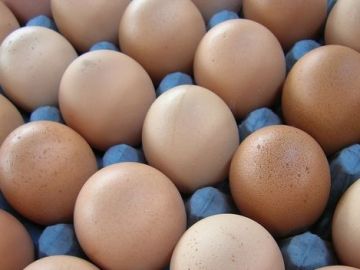 Varias docenas de huevos Varias docenas de huevos