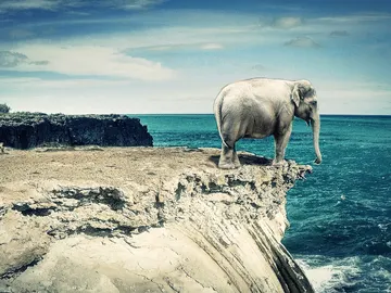 Montaje de Kurioso con imágenes de Wikimedia Commons Montaje de Kurioso con imágenes de Wikimedia Commons