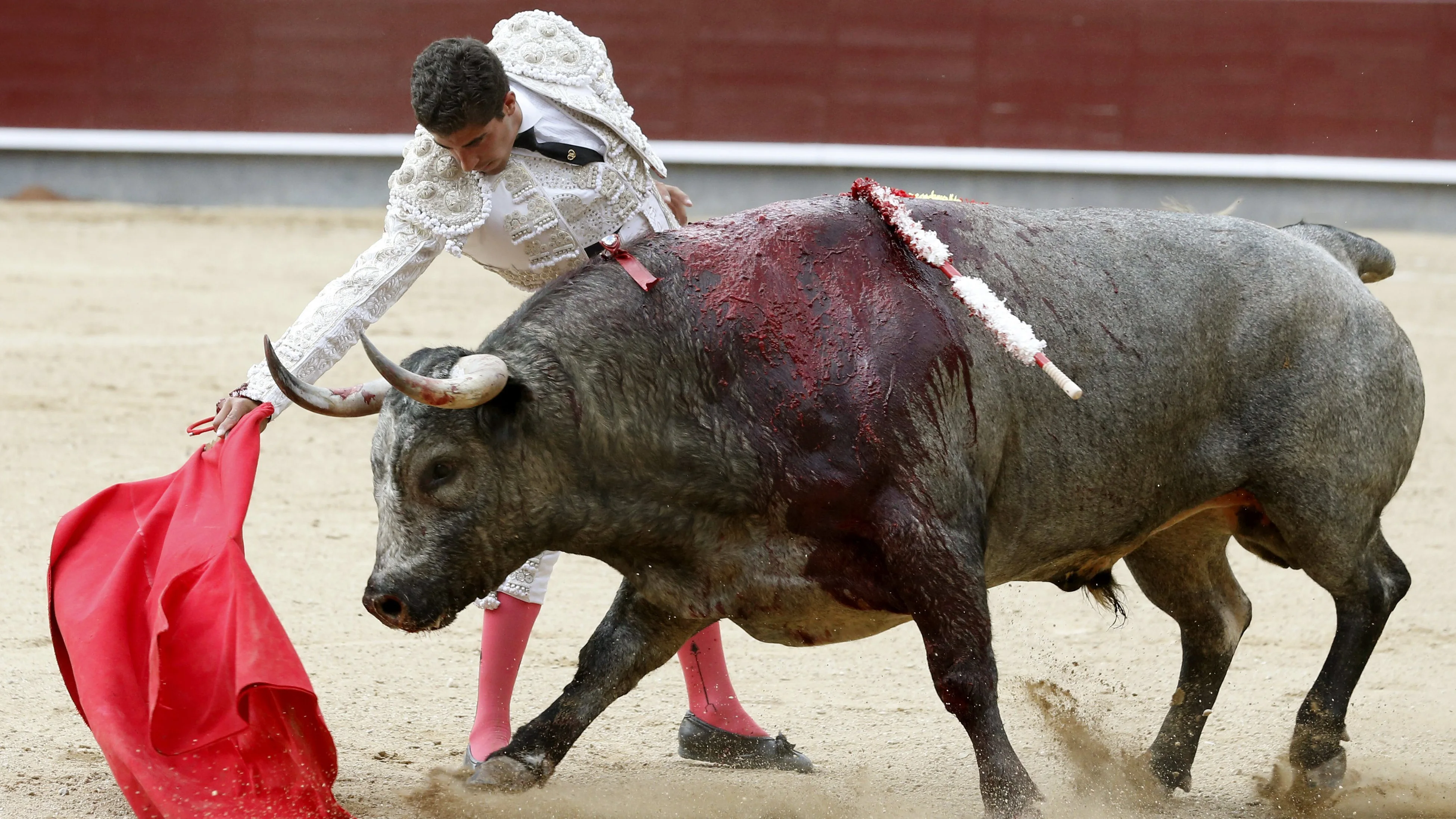  El torero Rafael Cerro en la faena a su primero, durante el vigesimocuarto festejo de la Feria de San Isidro