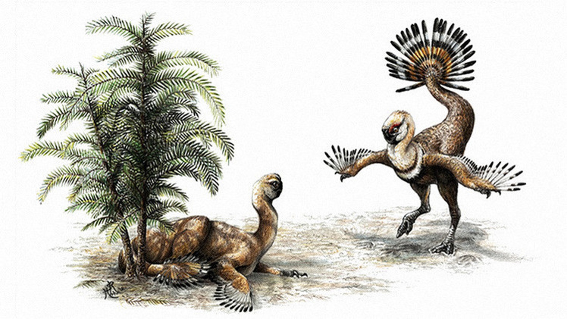 Recreación de los dinosaurios