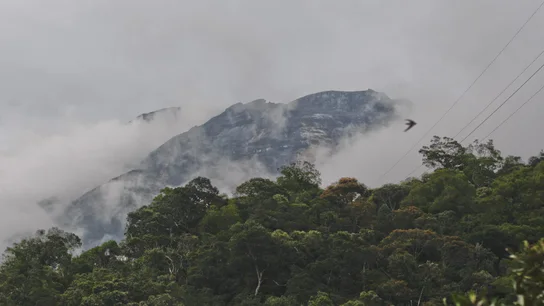El monte Kinabalu donde ocurrió el terremoto, en la isla de Borneo El monte Kinabalu donde ocurrió el terremoto, en la isla de Borneo