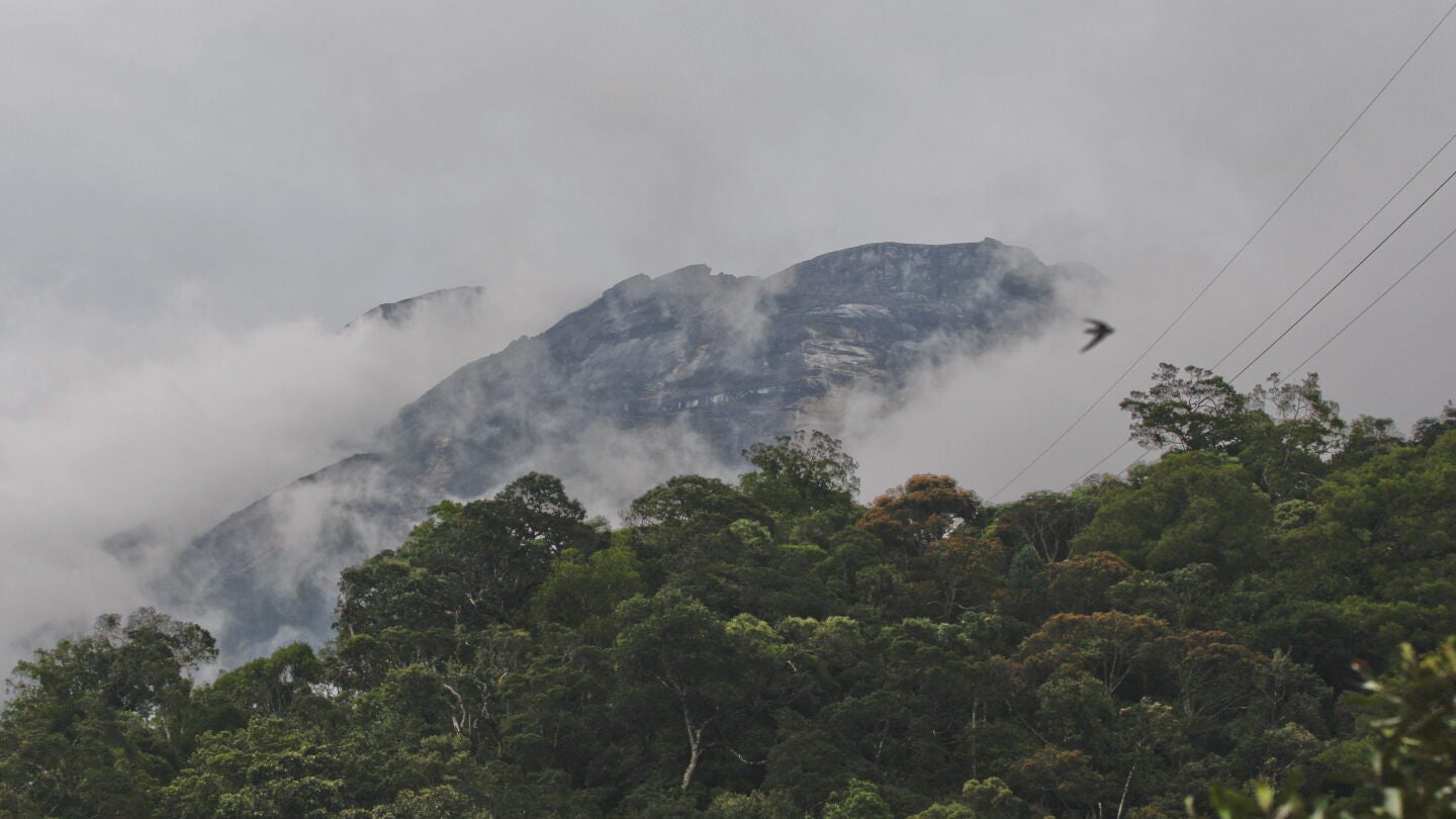 El monte Kinabalu donde ocurri&oacute; el terremoto, en la isla de Borneo
