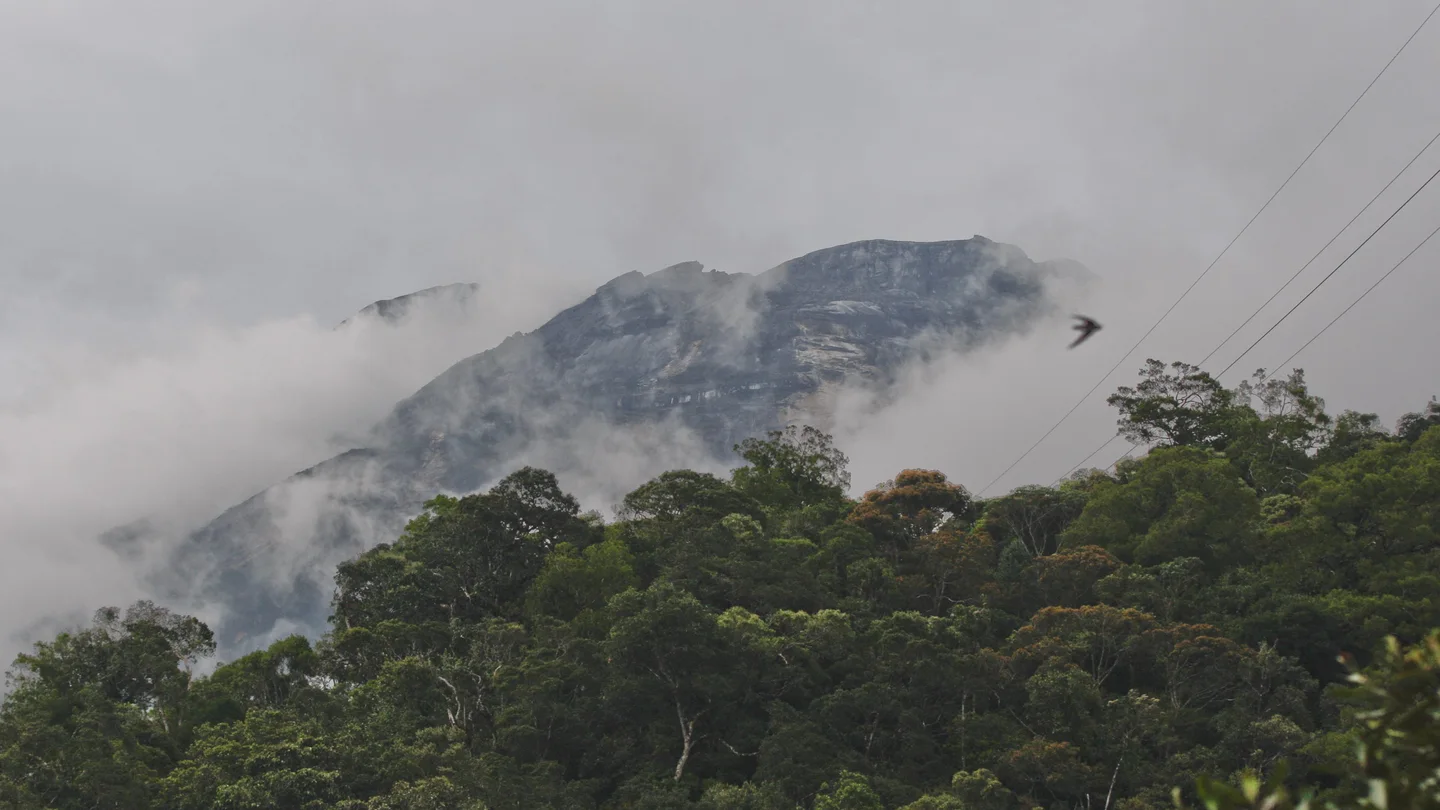 El monte Kinabalu donde ocurrió el terremoto, en la isla de Borneo El monte Kinabalu donde ocurrió el terremoto, en la isla de Borneo