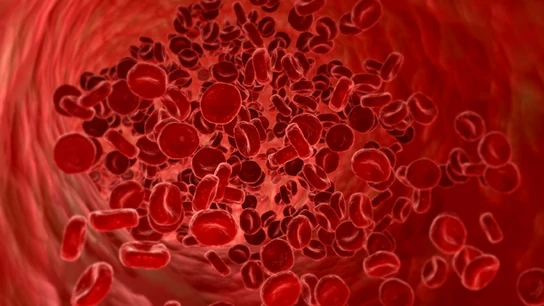 El coronavirus se siente "particularmente atraído" por el grupo sanguíneo A según un estudio El coronavirus se siente "particularmente atraído" por el grupo sanguíneo A según un estudio