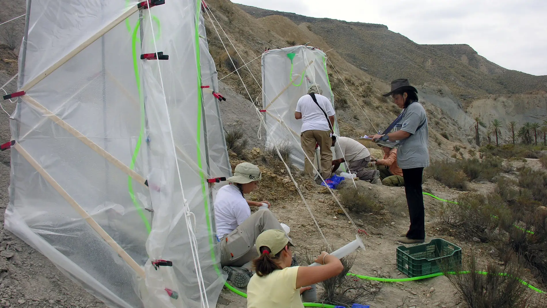 Ensayos de campo / Fundación Descubre