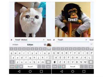 memes memes