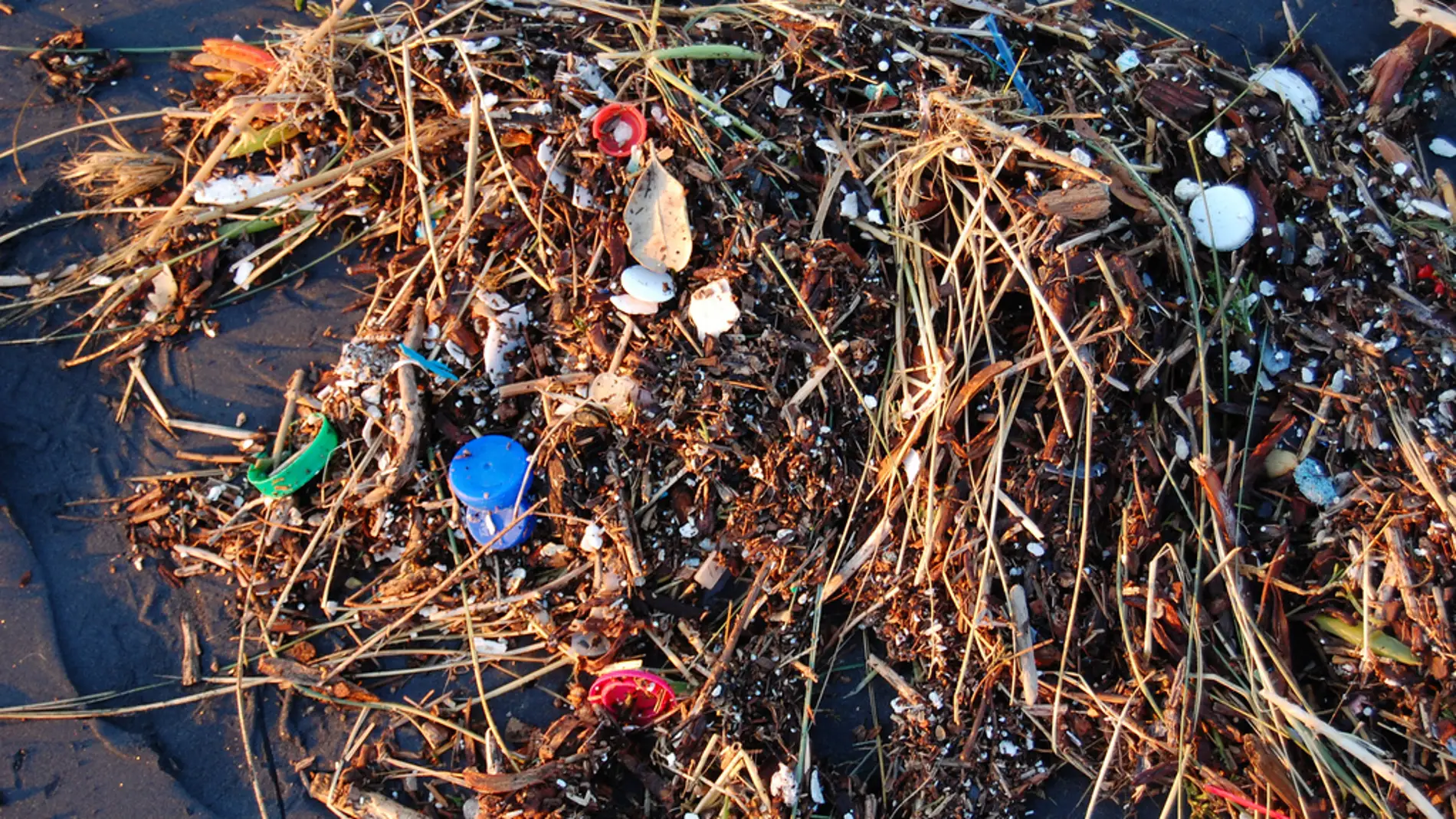 ¿Puede limpiarse el océano de plástico?