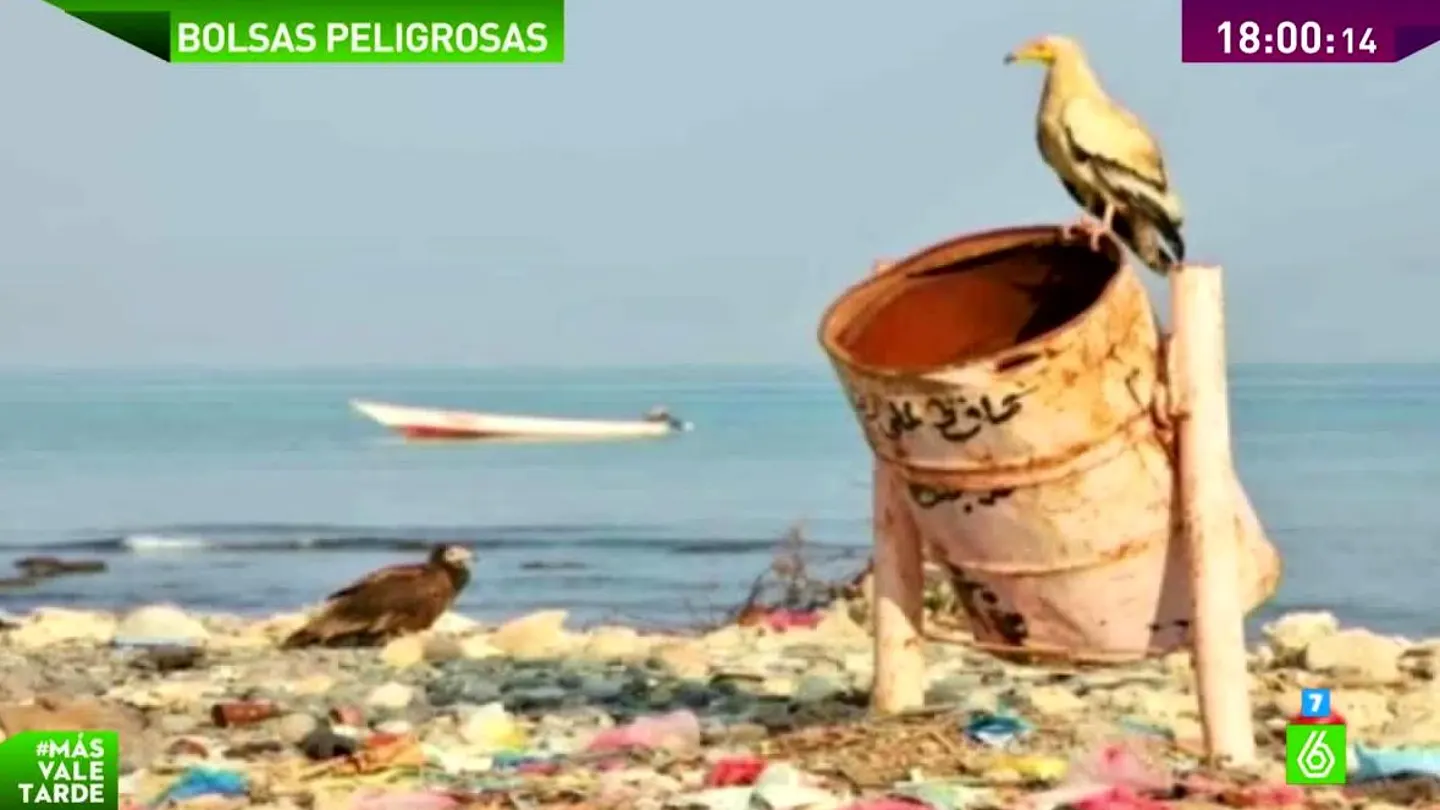 Cada español utiliza 133 bolsas de plástico al año y sólo recicla el 10% Cada español utiliza 133 bolsas de plástico al año y sólo recicla el 10%