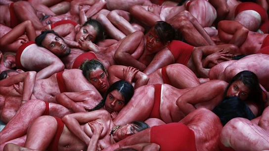 Antitaurinos protestan en Pamplona por la "sangre" que teñirá los sanfermines Antitaurinos protestan en Pamplona por la "sangre" que teñirá los sanfermines