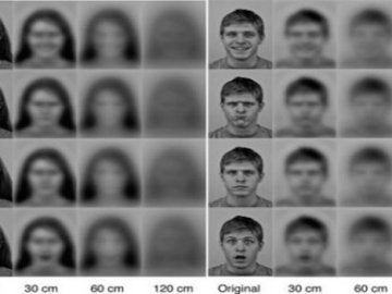 Los recién nacidos distinguen rostros a treinta centímetros de distancia
