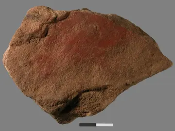 El hombre pintaba hace 49.000 años ¡con leche animal! El hombre pintaba hace 49.000 años ¡con leche animal!
