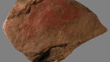 El hombre pintaba hace 49.000 años ¡con leche animal!