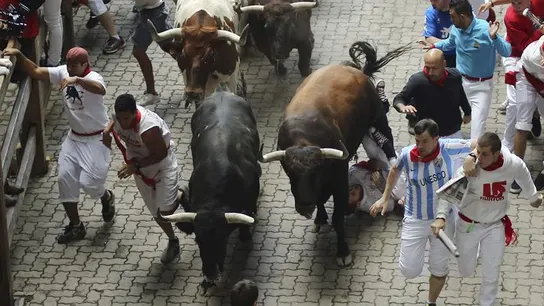 El segundo encierro de los sanfermines, con toros de El Tajo y La Reina El segundo encierro de los sanfermines, con toros de El Tajo y La Reina