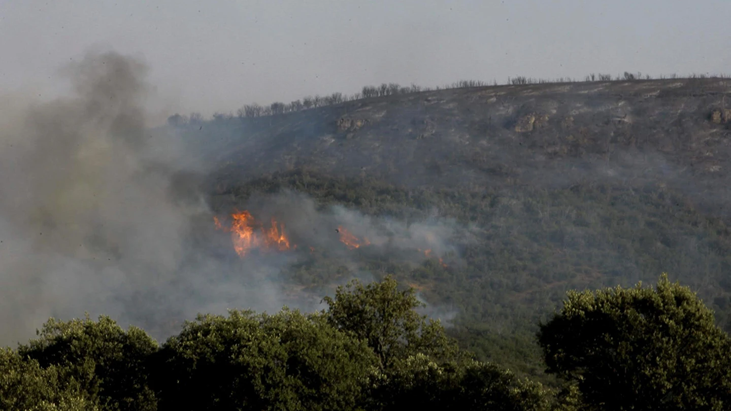 Llamas del incendio forestal declarado en Humanes Llamas del incendio forestal declarado en Humanes