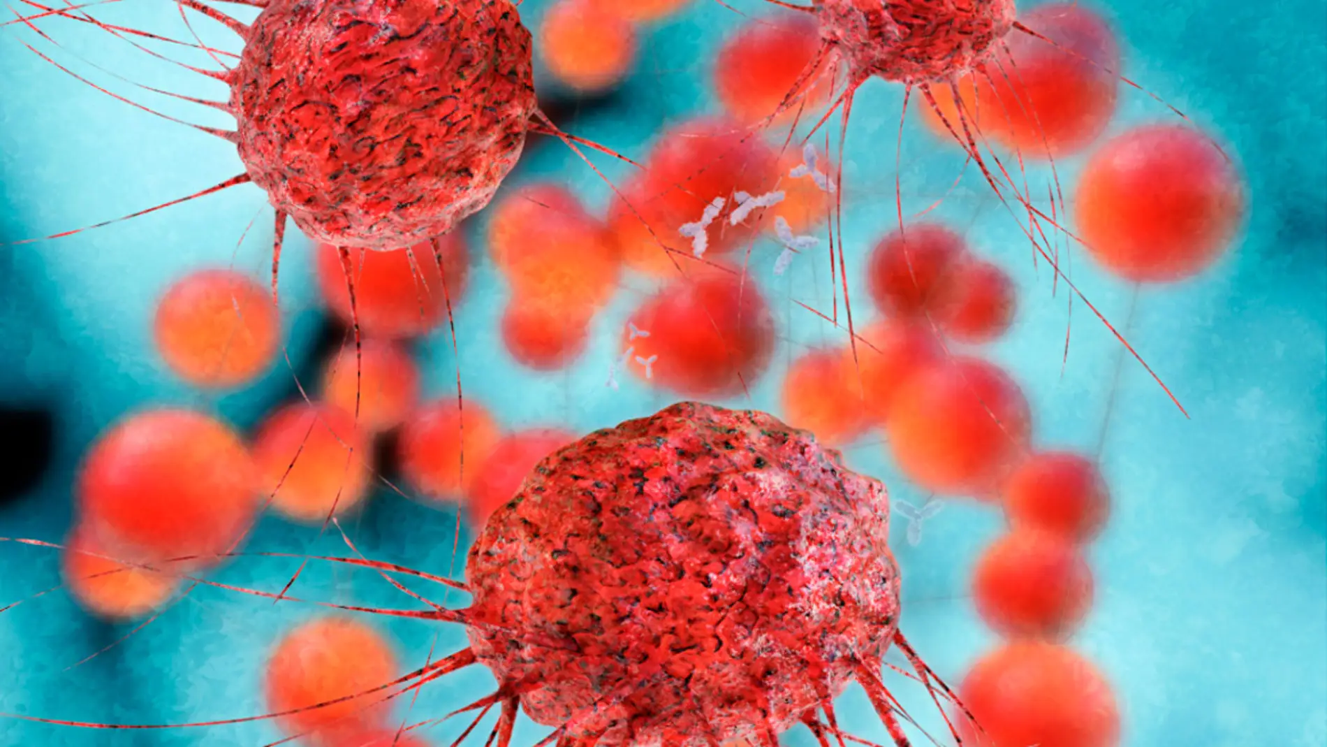 Una nueva técnica permite clasificar células sanas de las cancerosas haciéndolas levitar