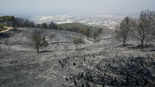 Zona afectada por el incendio en la Sierra de Lújar (Granada). Zona afectada por el incendio en la Sierra de Lújar (Granada).