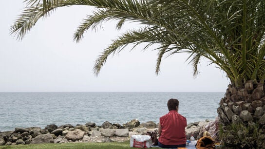 Una mujer sentada frente al mar debajo de una palmera