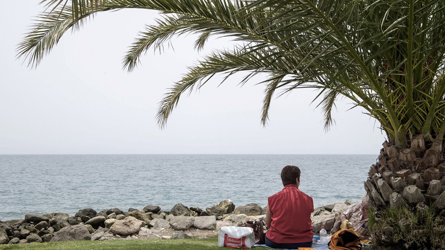 Una mujer sentada frente al mar debajo de una palmera